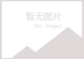 鹤岗南山友易金属有限公司